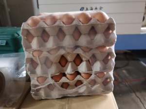 Mesin pengemas terowongan mengecilkan kotak karton telur - Product Image 2