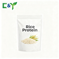 Poudre de protéines de riz brun Prix de gros Poudre de riz brun en vrac Poudre de protéines de riz