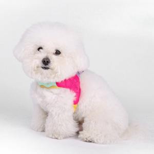 Pettorina Riflettente in Nylon per <span class=keywords><strong>Cani</strong></span>, Gilet Resistente per Cuccioli, Imbracatura da Passeggio per Animali Domestici, Regolabile per <span class=keywords><strong>Cani</strong></span> di Taglia Piccola, Media e Grande, anche per Pug - Product Image 6