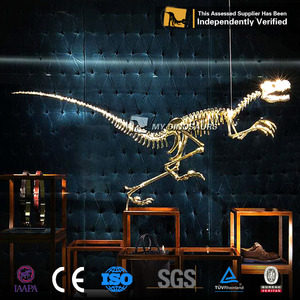 Mon Dino Fossile De Dinosaure Squelette Velociratpor avec 3 Mètres de Long pour la <span class=keywords><strong>Galerie</strong></span> De Décoration - Product Image 5
