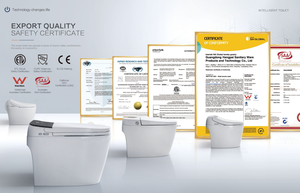 Bidet <span class=keywords><strong>WC</strong></span> intelligent certifié MWD CUPC ETL, sans limite de pression d'eau, chasse d'eau par siphon à commande au pied, toilette bidet automatique en gros - Product Image 6