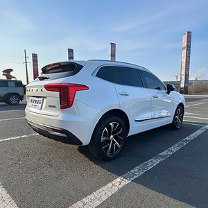 Auto Usata Haval First Love 2021 1.5T DCT Edizione Senior in Buone Condizioni a Basso Prezzo, Auto per Pattugliamento - Product Image 6