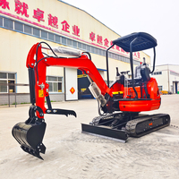 Mini-excavatrice 2,5 tonnes avec moteur Kubota EPA Euro 5, livraison gratuite, pour usage agricole et domestique, également disponible en versions 1 et 2 tonnes