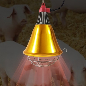 公正価格養鶏場獣医ランプ専用保温動物の家のほうき熱ランプ - Product Image 6