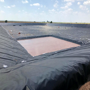 Membrana de impermeabilización Buen precio Geomembrana 0,5mm Espesor HDPE Pond Liner para piscifactoría - Product Image 6