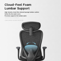 Chaise de bureau ergonomique moderne avec soutien lombaire, dossier en maille, appui-tête réglable – Siège professionnel pour soulager les maux de dos