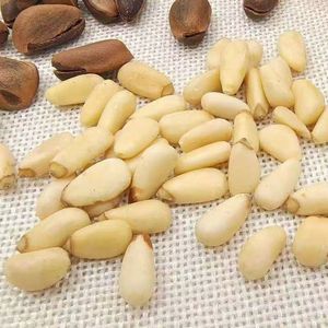 Échantillon gratuit noix <span class=keywords><strong>de</strong></span> <span class=keywords><strong>pin</strong></span> coréennes noix <span class=keywords><strong>de</strong></span> <span class=keywords><strong>pin</strong></span> - Product Image 4