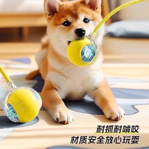 <b>Smart</b> Electric Pet Bouncy <b>Ball</b> Automatic Interactive Toy For Dogs Bite Resistant Durable Playtime Fun - Product Image 3