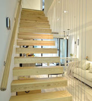 Escalier en acier à double poutre pour extérieur, avec garde-corps en verre, sur mesure, durable, droit ou en spirale, de qualité professionnelle usine