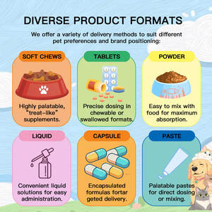 Golosinas Masticables Frescas <span class=keywords><strong>de</strong></span> Marca Propia para Perros y Gatos, Favorecen el Cuidado Bucal y la Higiene Dental Diaria - Product Image 4