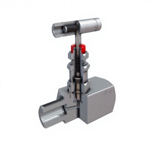 Vanne à aiguille manuelle haute pression certifiée ISO/CE ZT-NT6000 Gaz/Eau/Huile -20°C~200°C 1'' Garantie 1 an - Product Image 1