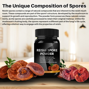 Pó de Esporos de <span class=keywords><strong>Reishi</strong></span> que Pode Integrar-se Facilmente à Vida Diária, 60 Porções, 120 Cápsulas de Pó de Esporos de <span class=keywords><strong>Reishi</strong></span> - Product Image 3