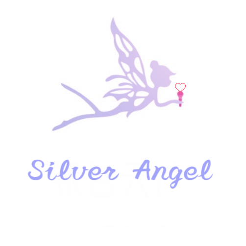 Dongguan Silver Angel Jewelry Co., Ltd. logo