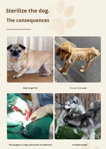 Hızlı Teslimat Köpekler İçin Seks Oyuncakları Silikon Simüle Edilmiş Çiftleşme Oyuncağı Gerçekçi Sağlık Köpek Oyuncakları Kızgınlık Sırasında-Küçük Orta ve Büyük Köpekler İçin - Product Image 4