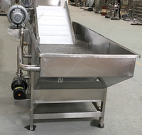 Geavanceerde industriële automatische groente- en fruitreinigingsmachine van RVS304 op maat gemaakt