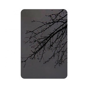 Plaques décoratives en acier inoxydable haute résistance 304 316 pour les projets de décoration intérieure résidentielle et commerciale - Product Image 4