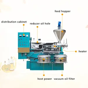 Máquina extractora de aceite, filtro frío y caliente de aceite de oliva, semilla de algodón, Comercial