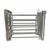 Berceau d'immobilisation automatique robuste en acier galvanisé pour bovins, avec balance, clôture et treillis, pour ferme
