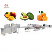 Ligne de lavage et de nettoyage des fruits et légumes (pomme/poire/mangue/baies) avec moteur PLC, usage commercial, acier inoxydable 304