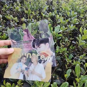 Proveedor de Kpop, Postales Personalizadas de Doble Cara con Eslogan a Color, Tarjetas Fotográficas Transparentes - Product Image 1