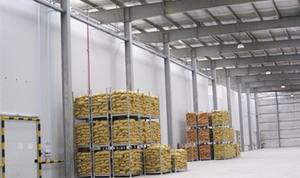 Contenedor de congelador para cultivo de hongos, habitación fría, congelador de habitación fría, habitaciones frías de 2hp para hacer bloques de hielo - Product Image 6