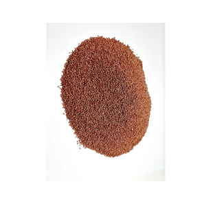 Vente en gros de graines de cresson de jardin naturelles et séchées Lepidium Sativum Seed Raw Immunity Booster de qualité alimentaire - Product Image 2