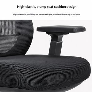 Chaise de bureau ergonomique en maille au design moderne avec soutien lombaire réglable, dossier ouvert et vérin à gaz de classe 4 - Product Image 4