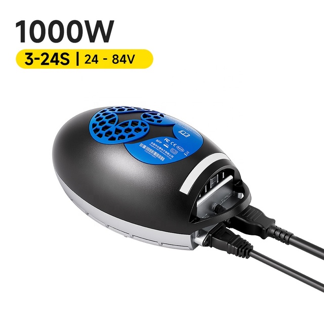 Daly 1000W EV Car Portable Battery Charger 10A-30A for Lithium Battery Li-ion LifePO4 24V 36V 48V 60V 72V 84V Waterproof Charger