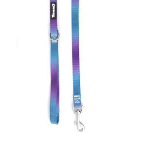Laisse pour animaux de compagnie YM1983 Rainbow Gradient Salad Ribbon 2.0*120cm - Product Image 5