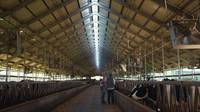 Nave Agrícola Prefabricada de Acero de Diseño Moderno para la Cría de Cabras y Ovejas en Granjas