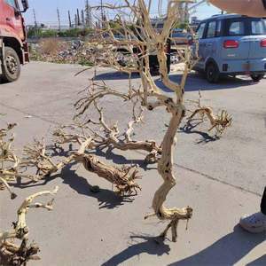 Grand support d'escalade en bois d'aquarium moderne en rotin naturel Rhododendron arbre chèvrefeuille arbre Overlord sacs pour - Product Image 2