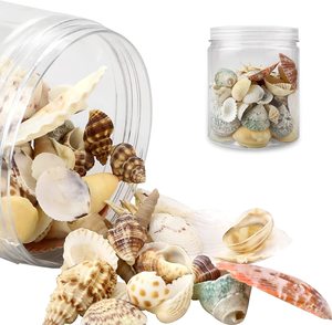 Ixed EA Hells <span class=keywords><strong>100</strong></span> + CS cada uno shells Fish tarfish arious miza Ocean eaeashell para ish ank ase illers. - Product Image 4