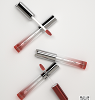 Vente flash - Emballage de gloss à lèvres de luxe 2 ml - Tubes de gloss à lèvres avec gros pinceau - Flacon d'huile à lèvres