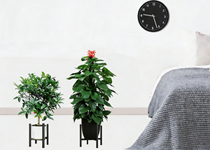 <span class=keywords><strong>Support</strong></span> de Plantes Métallique <span class=keywords><strong>Réglable</strong></span> <span class=keywords><strong>en</strong></span> Largeur et <span class=keywords><strong>Hauteur</strong></span>, <span class=keywords><strong>Support</strong></span> de Plantes Moderne Noir avec Capacité de Charge de 120 LBS, Supports de Plantes Imperméables Antidérapants - Product Image 2