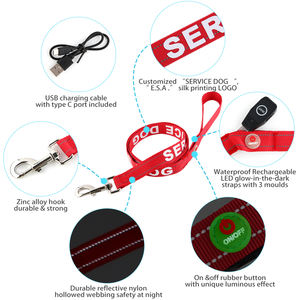 Usine USB Type C Rechargeable LED Chien Laisse Lumière Rougeoyante Trois Modes <span class=keywords><strong>Flash</strong></span> Nylon Clignotant Chien Laisse pour Rubans Personnalisés - Product Image 2