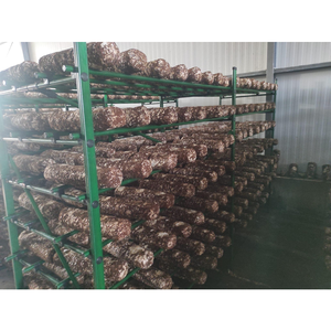 Mobile Mushroom <b>Cultivation</b> Rack Carbon Steel Shelf Mushroom Farming Industrial Equipment - Product Image 3