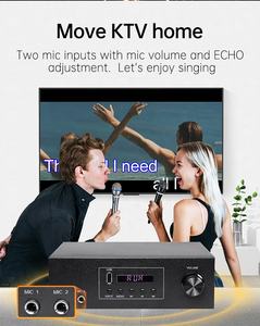 Directo de fábrica Mini LED <span class=keywords><strong>HIFI</strong></span> Karaoke <span class=keywords><strong>Amplificador</strong></span> BT 5,0 USB DSP Home Audio <span class=keywords><strong>Amplificador</strong></span> de potencia Precio <span class=keywords><strong>barato</strong></span> Receptor y <span class=keywords><strong>amplificador</strong></span> - Product Image 3