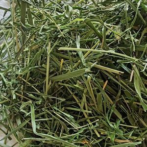 Heno de Avena Premium, Heno de Alfalfa, Alimento para Conejos con Alto Contenido de Fibra, para Cobayas, Chinchillas y Animales Pequeños, Ecológico, Jinchang, Gansu - Product Image 2