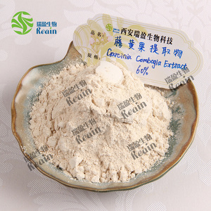 Estratto di erbe naturale puro nessun effetto collaterale peso dimagrante Garcinia Cambogia 60% HCA