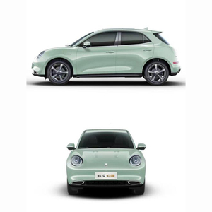 รถยนต์ไฟฟ้าขนาดเล็กที่ใช้สำหรับผู้ใหญ่400กม. รุ่น2022แมวเหม็นของ <span class=keywords><strong>Ora</strong></span> fungy - Product Image 1