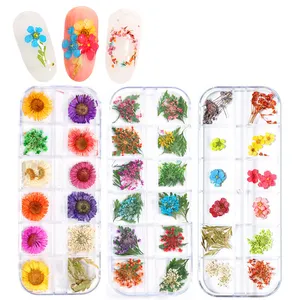 Nail Art Gedroogde Bloemen 12 Raster Doos Natuurlijke Gypsophila Bewaard Bloem Sticker Bloem Vrouwelijke Manicure Druk Op Nagels