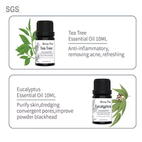 Huiles essentielles biologiques pures gros arbre à thé menthe poivrée lavande diffuseur arôme avec des ingrédients de pin