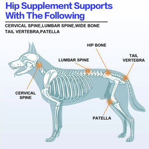 Vente en gros de supplément sain pour chien 60ml Goutte de liquide pour la hanche et les articulations Prévenir et traiter le supplément d'entérite pour chiens et chiots chats - Product Image 5