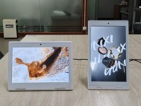 Écran d'affichage numérique de table VETO 13,5 pouces, menu numérique Android, signalisation publicitaire avec USB RJ45 pour la restauration rapide, les cafés et la vente au détail