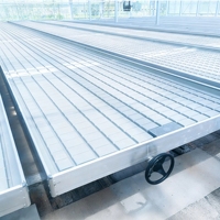 Meja Tanam Hidroponik Sistem Ebb and Flow, Baja Galvanis Modern, Besar, Dapat Dipindahkan, Tugas Berat, Beroda