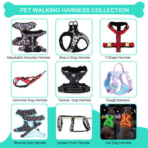 Logotipo personalizado mal de ojo Arnés para perros Impreso Diseñador Arnés para mascotas Personalizado mal de ojo Collares para mascotas Correa Accesorios para mascotas personalizados - Product Image 6