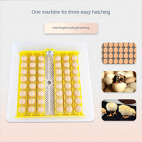 Incubateur automatique de caille de poulet de capacité de 48 oeufs Mini incubateur d'oeufs de puissance unique de ménage châssis de poussin intégré nouveau