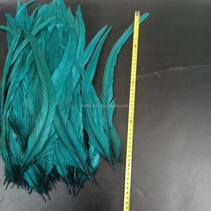 Plumes de coq teintées turquoise de 10-45 cm en gros – Plumes longues pour costumes de carnaval, fêtes et spectacles - Product Image 3