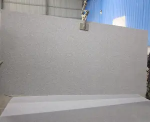 浅灰色花岗岩板603 2厘米3厘米