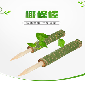 Soporte Extensible para Palma de Coco, Varilla de Soporte para Rábanos Verdes, Herramientas de Jardinería, Soporte para Palma de Coco - Product Image 5